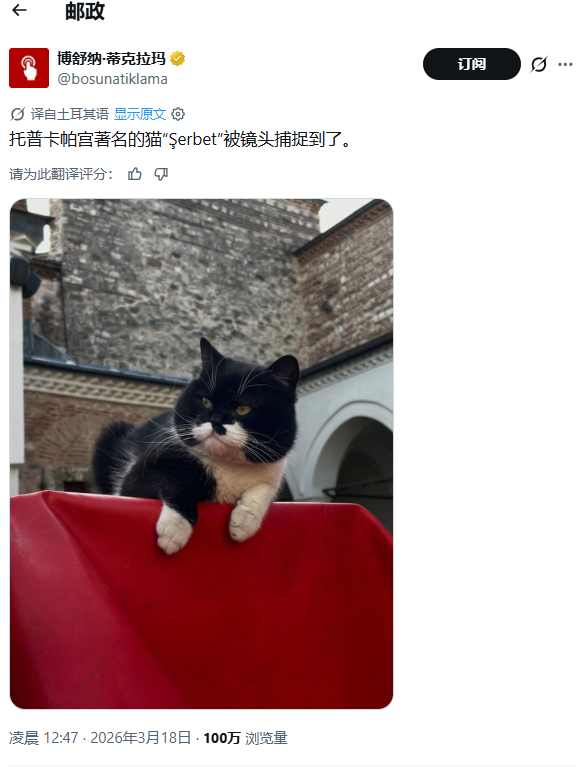 z自在链上人 tweet media
