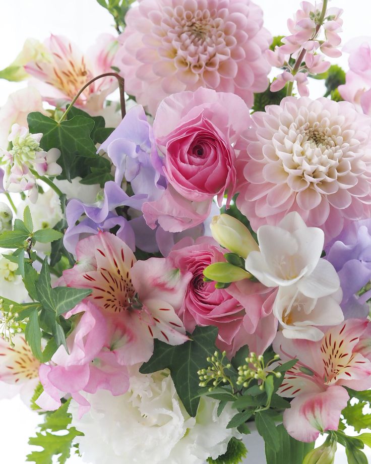 The floral diary tweet media