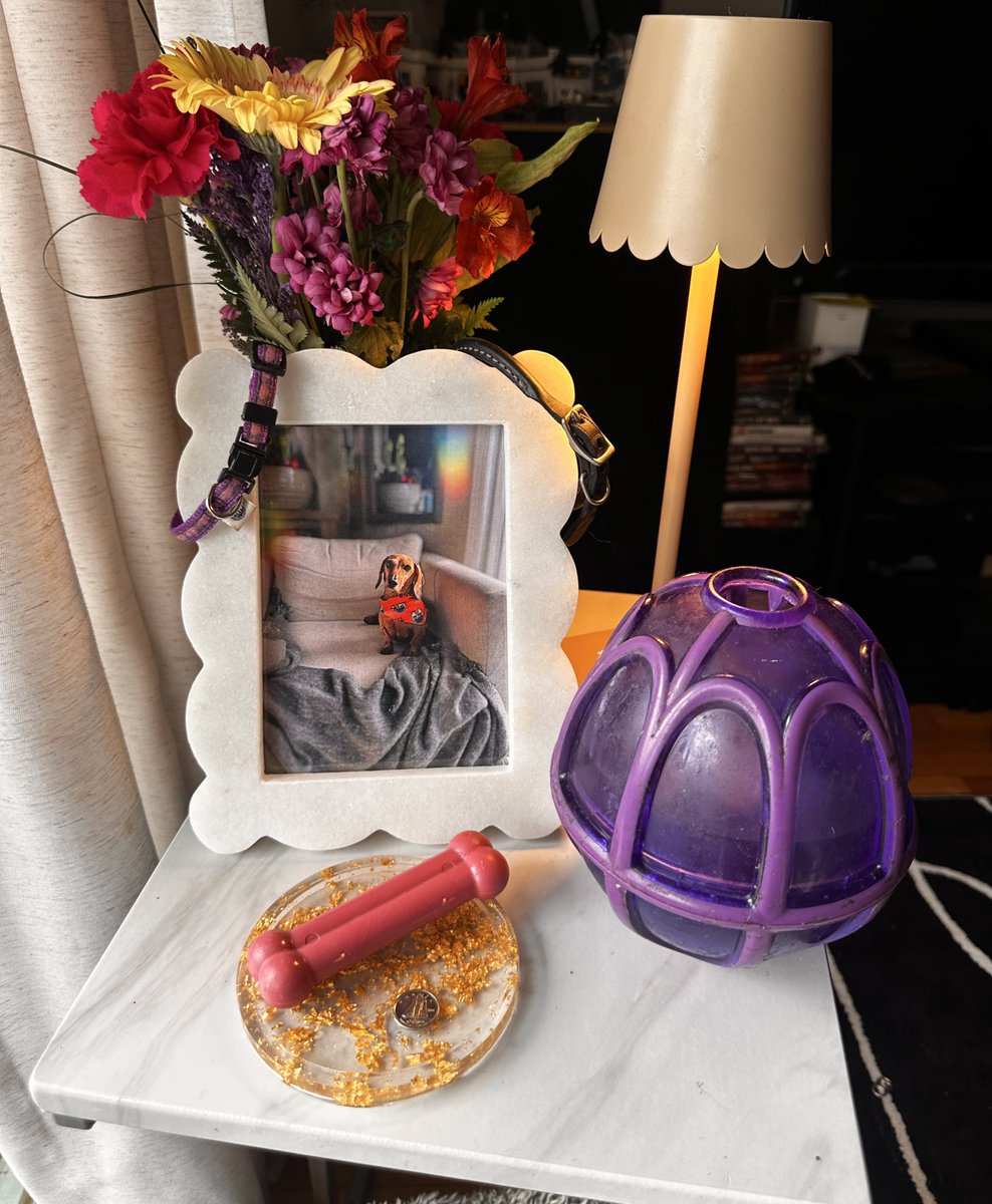 lindsey 💙🧡 tweet media