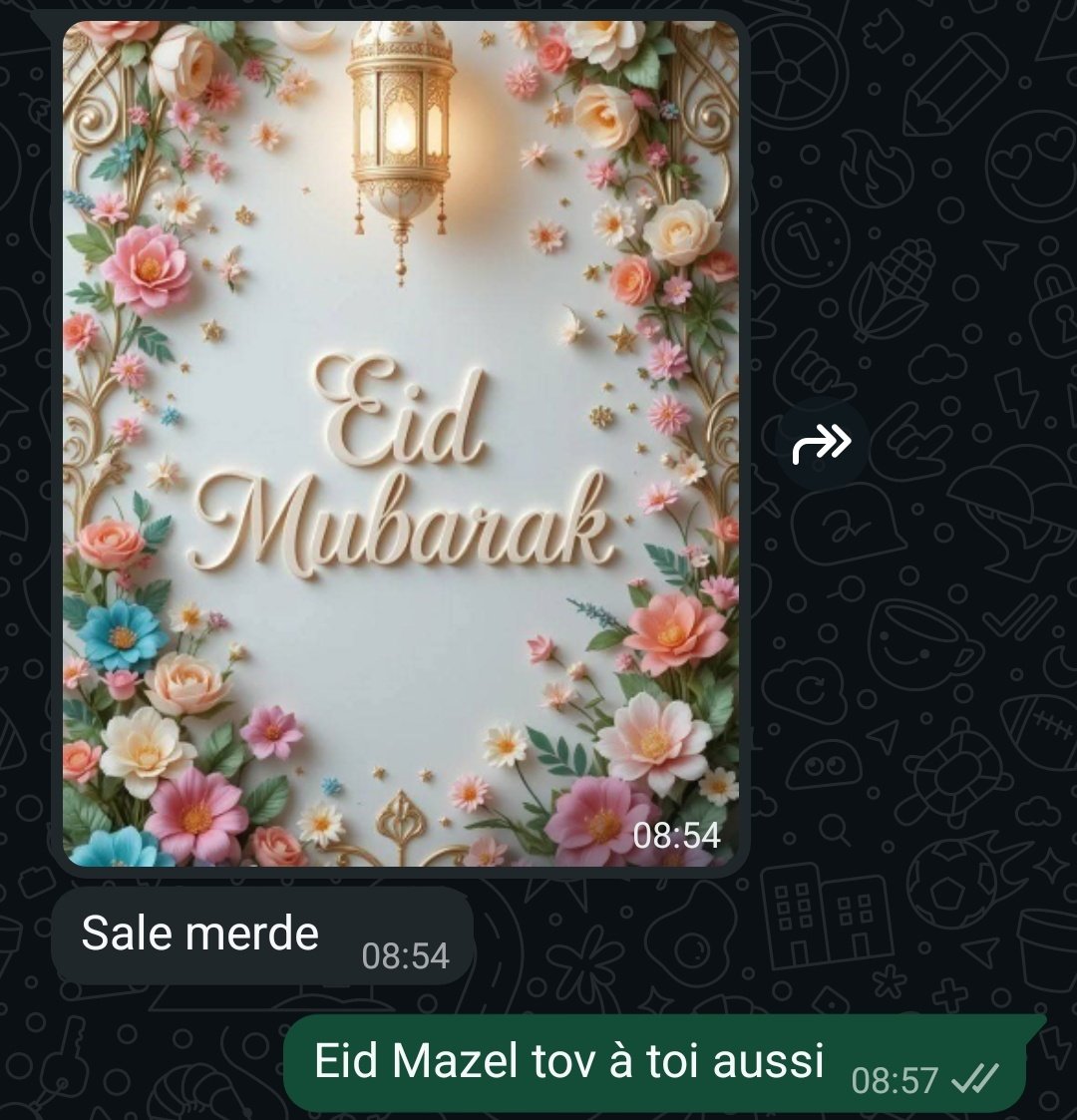 Ramon Trofort tweet media