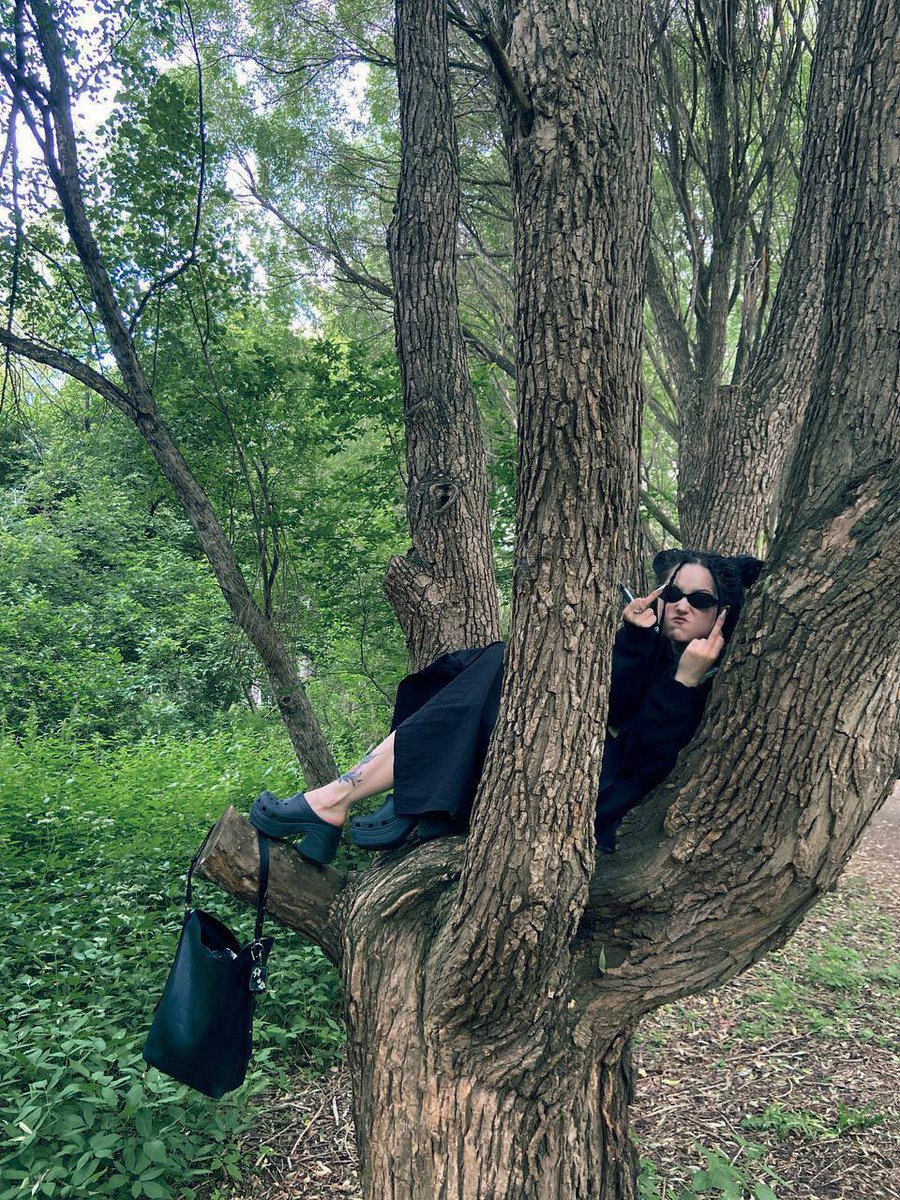 blaublimm tweet media