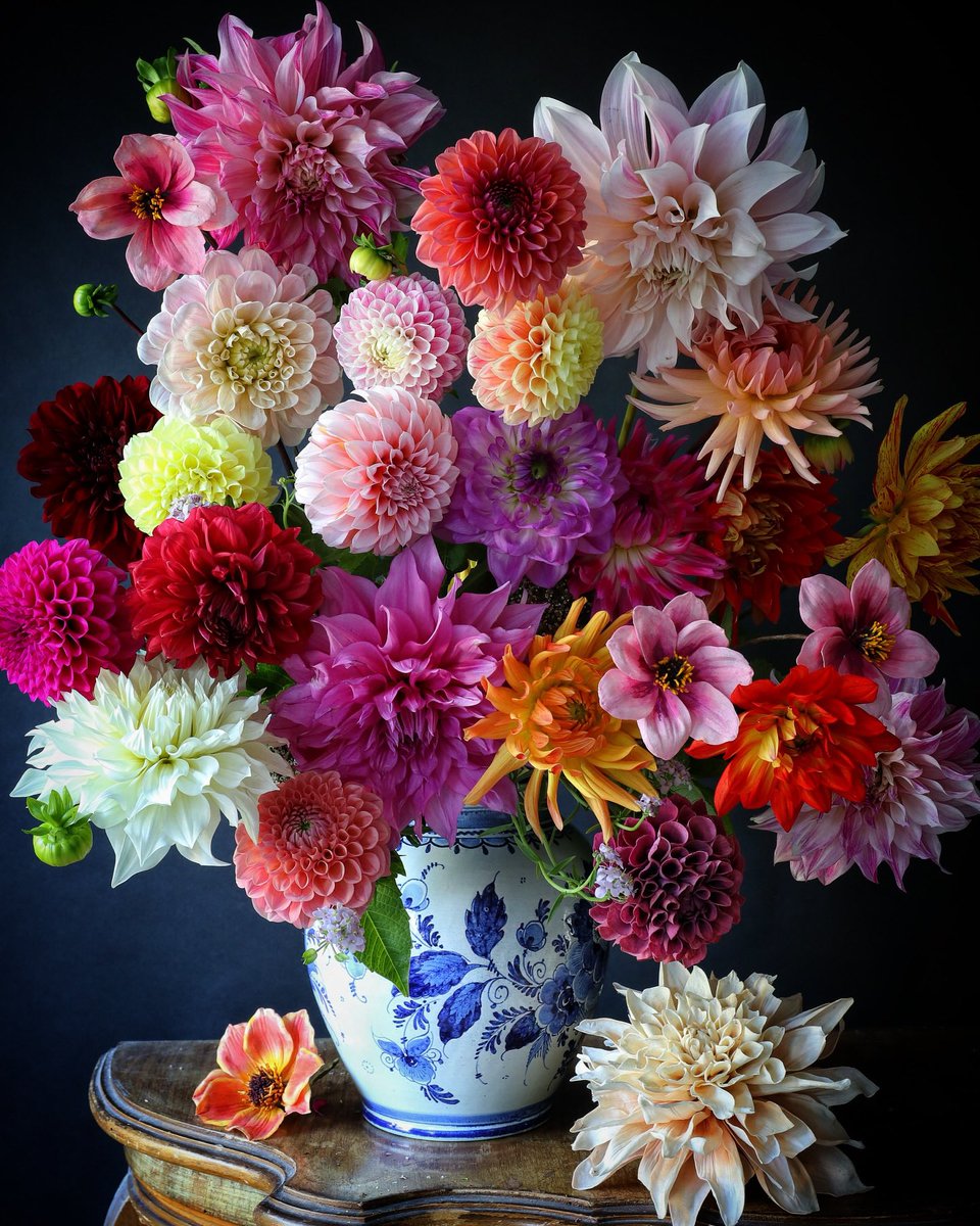 𝓟𝓸𝓹𝓹𝓲𝓮 𝓡𝓸𝓼𝓮 💜🌿 tweet media