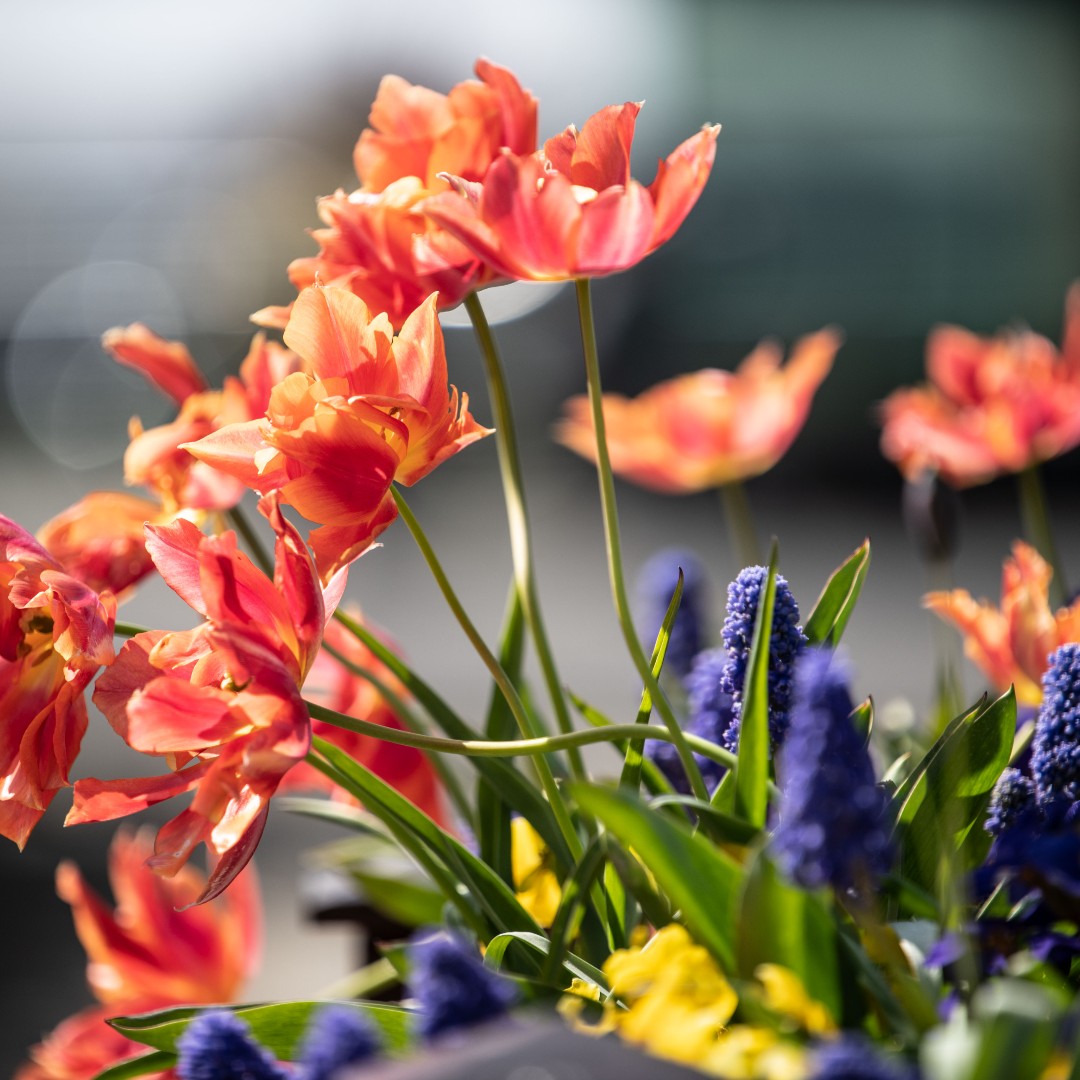 Study At Ulster tweet media