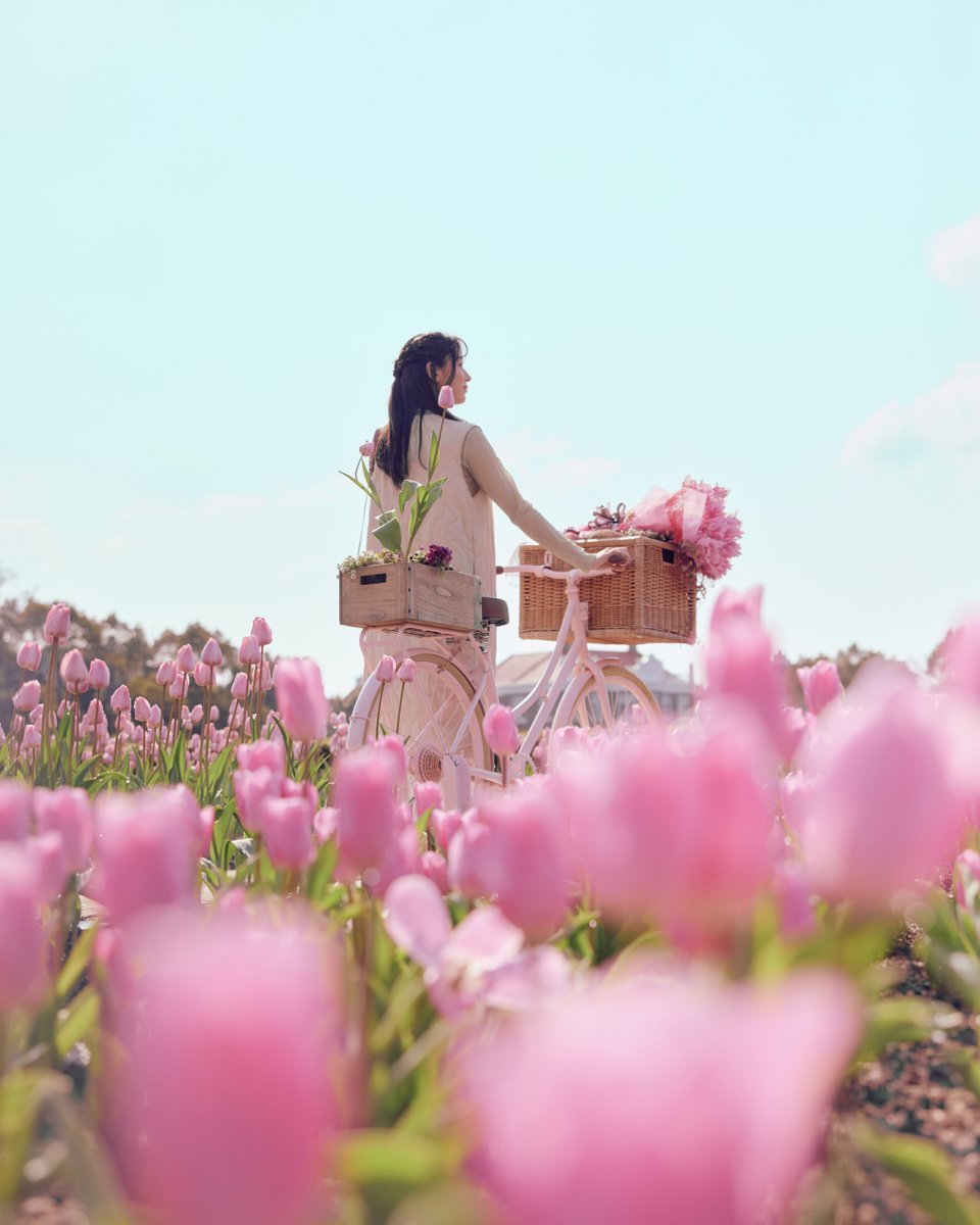 ハウステンボス公式 tweet media