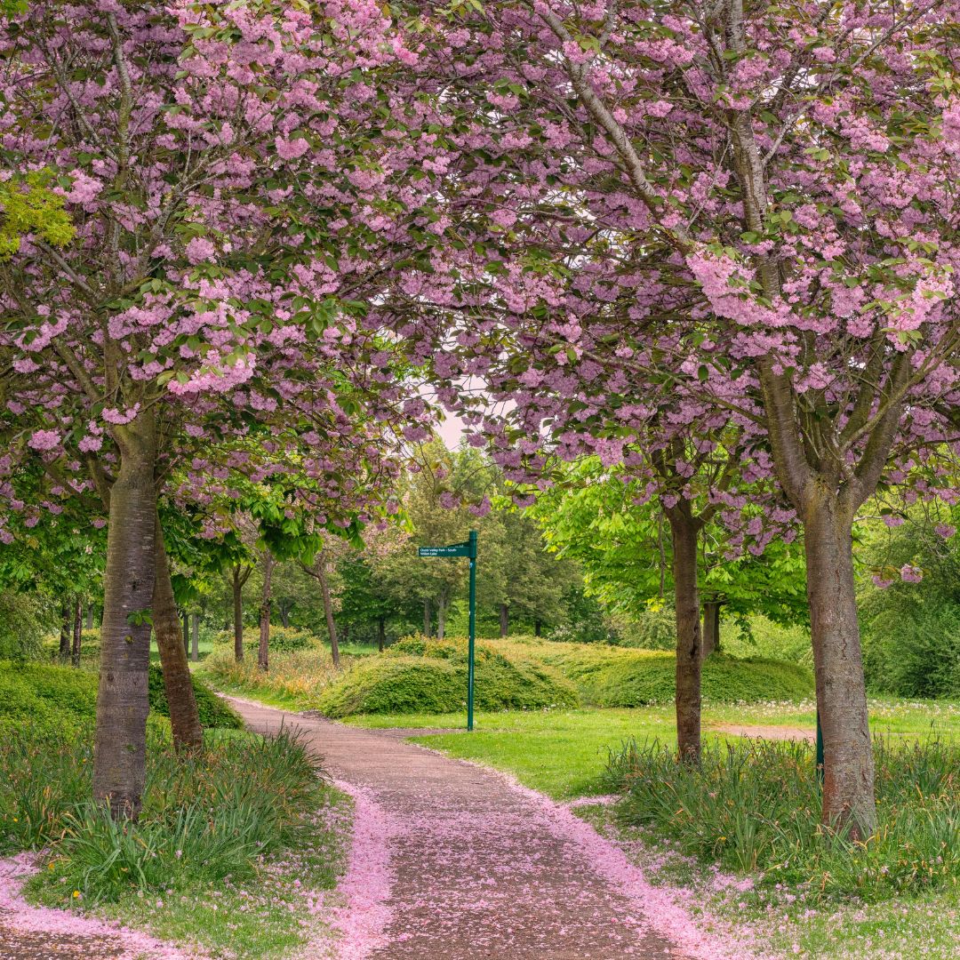 The Parks Trust tweet media