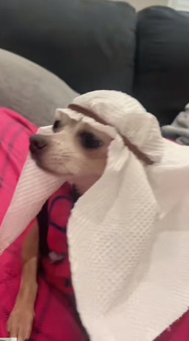 fr@nk™️ tweet media