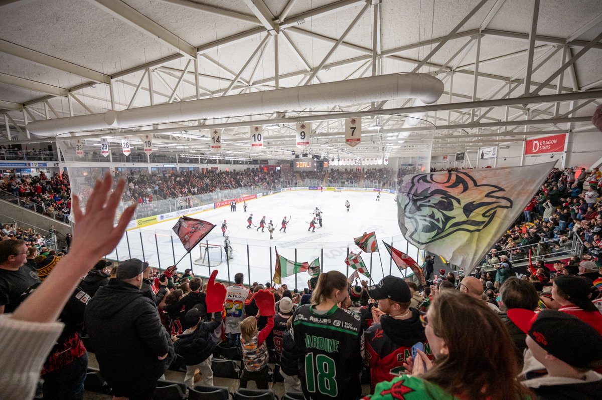 Cardiff Devils tweet media