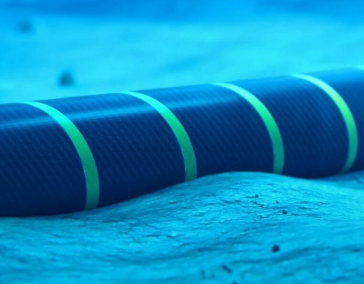 Piotr Mieczkowski TMT tweet media