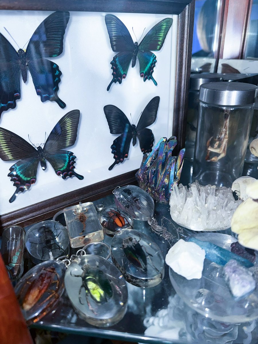 Van Marilyn tweet media