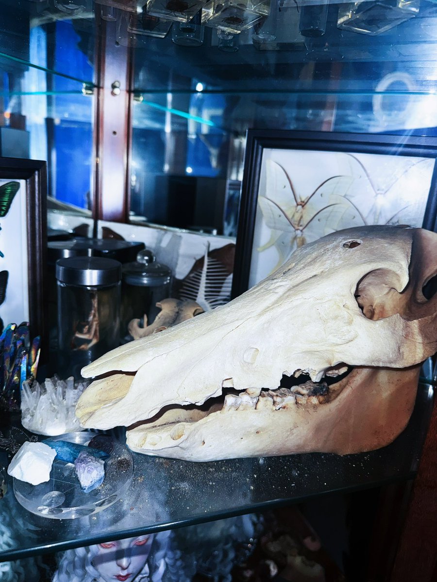 Van Marilyn tweet media