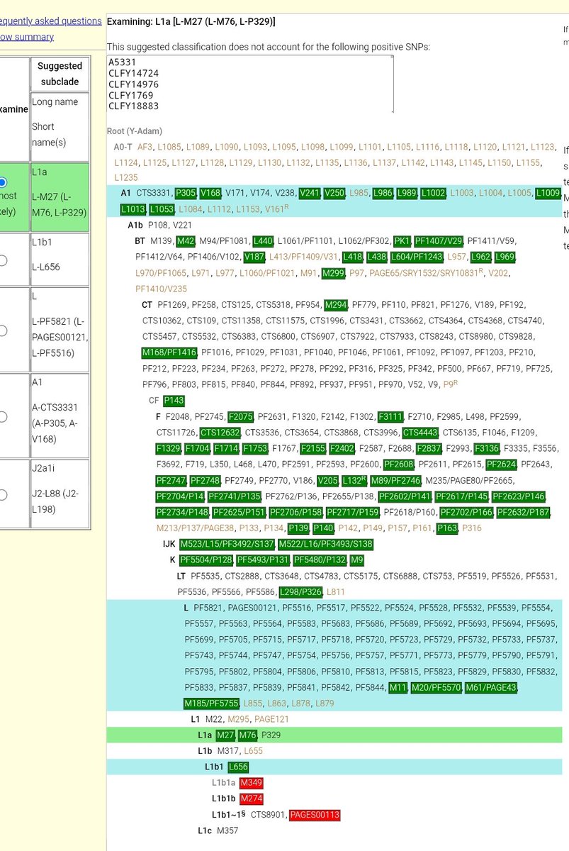 Jatland Chronicles tweet media