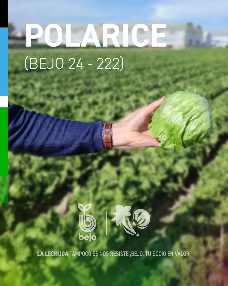 Bejo España tweet media