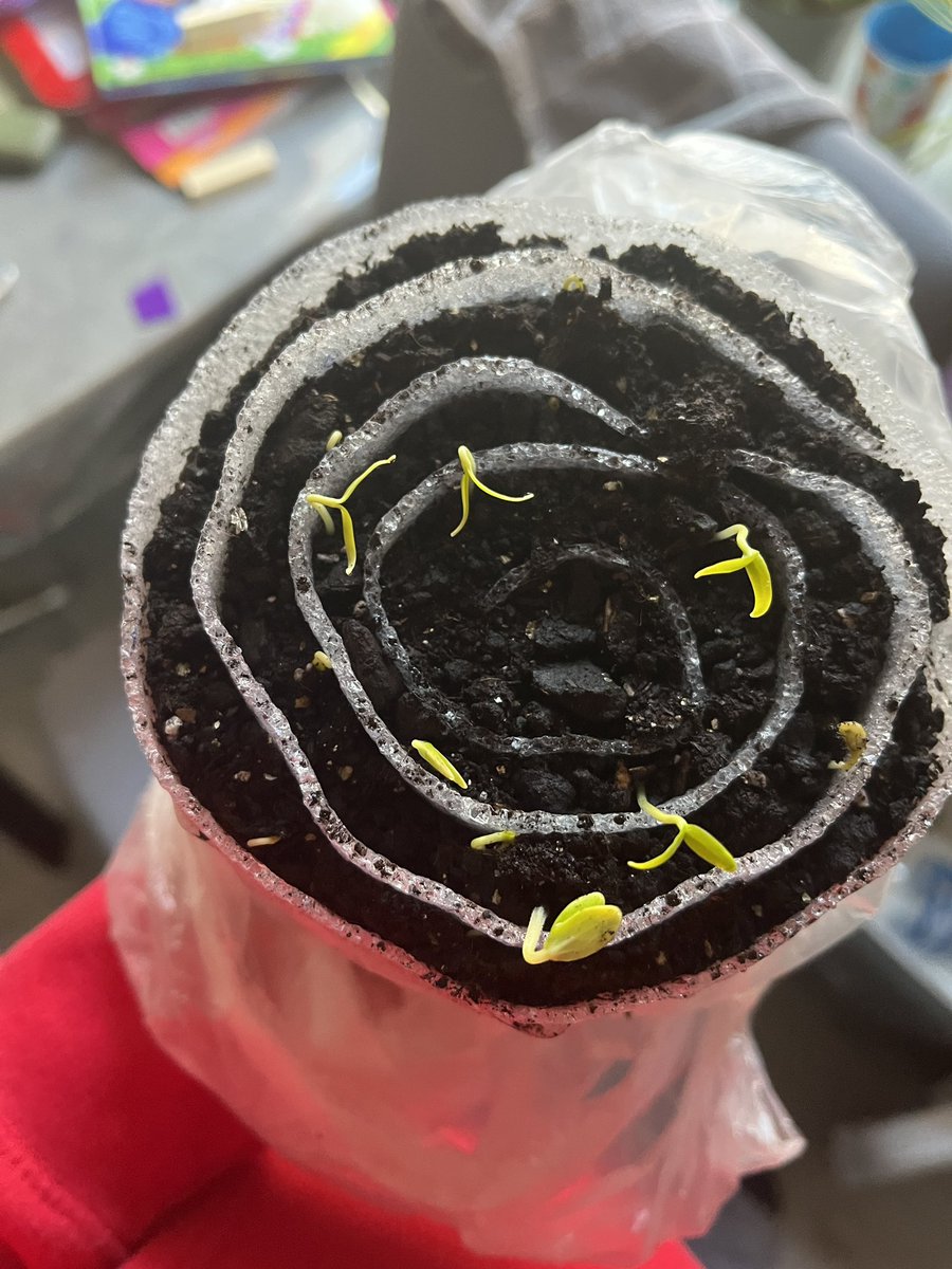 пані Катерина Втомлена tweet media