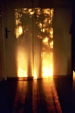 Justin728083882's tweet photo. Search for the person who    
       brings your soul real peace. 
All the rest are just background    
     noise you gotta tune out. https://t.co/Z2fxmc7l02