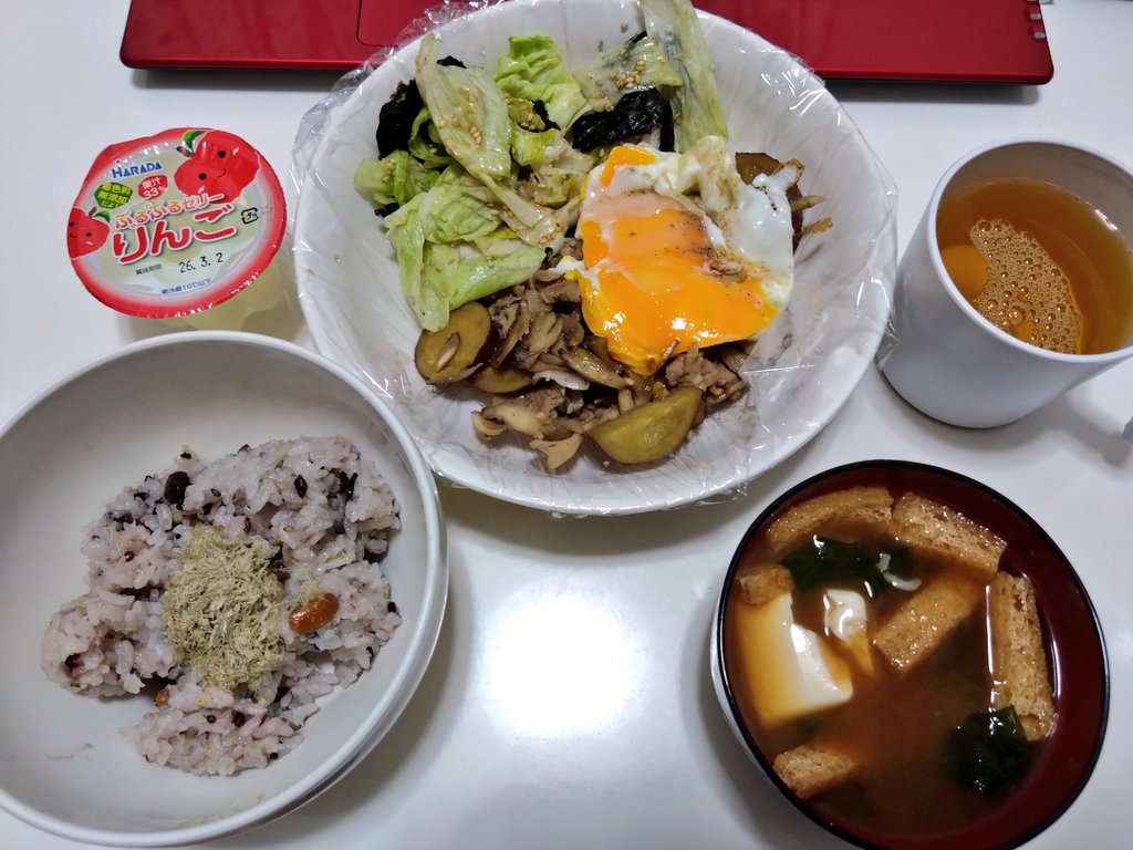 豚こまとさつまいものガリバタ炒めとちぎりレタスとのりのごま中華あえ(⁠・⁠∀⁠・⁠)
だからどうしていつもいつも盛り付けで残念にしちゃうのかね(^q^)笑
見た目はイマイチでしたが味は今回もばっちり美味しかったです！！舞茸追加して大正解でした✧⁠◝⁠(⁠⁰⁠▿⁠⁰⁠)⁠◜⁠✧
