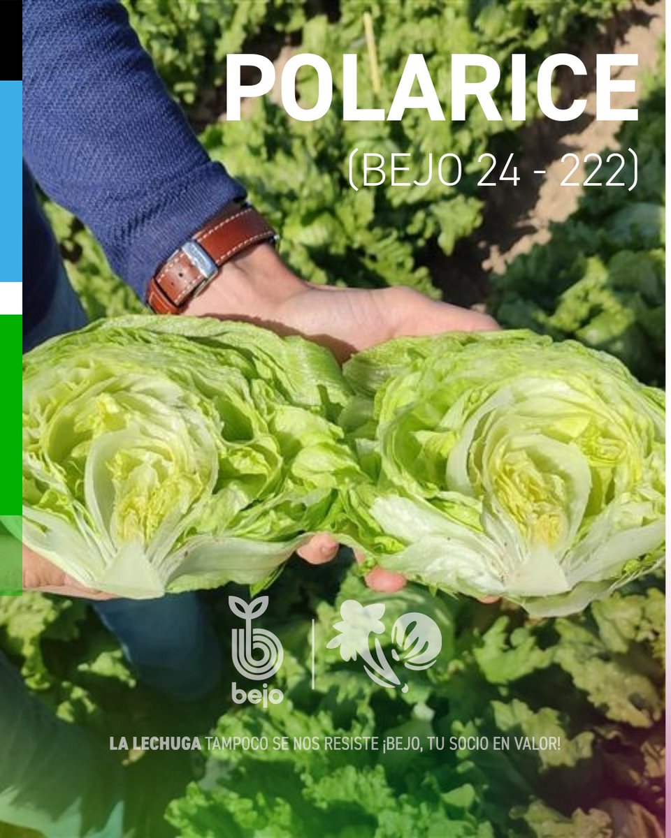 Bejo España tweet media