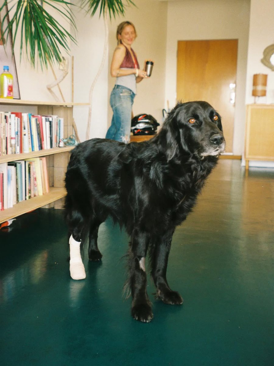 Tom Blyth Updates tweet media