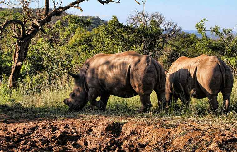 جعفر السوري (❖,❖) tweet media