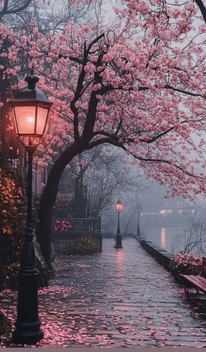 Magical views tweet media