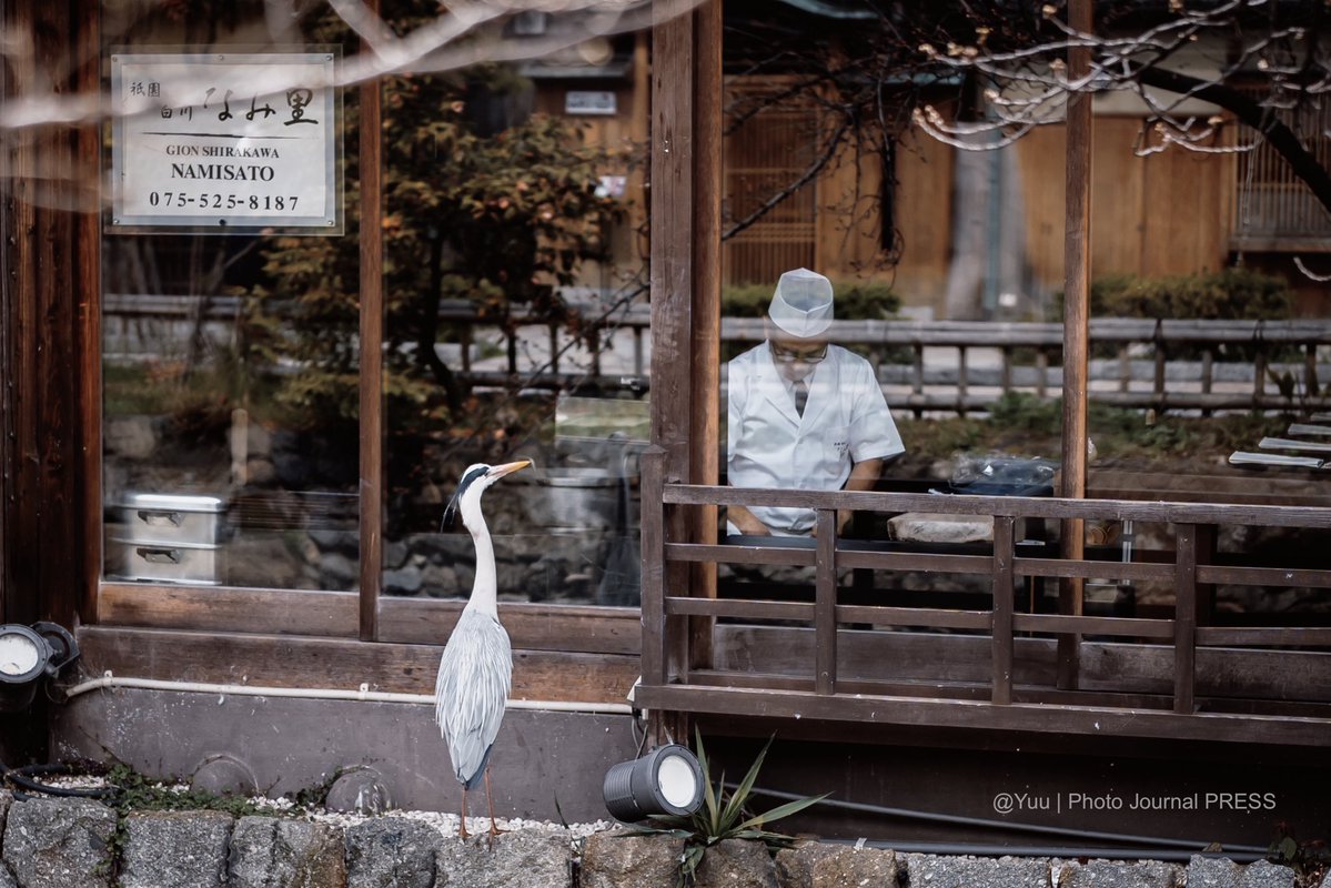 Yuu | Photo Journal PRESS tweet media