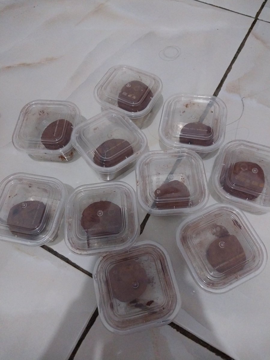 dinar🍉 tweet media