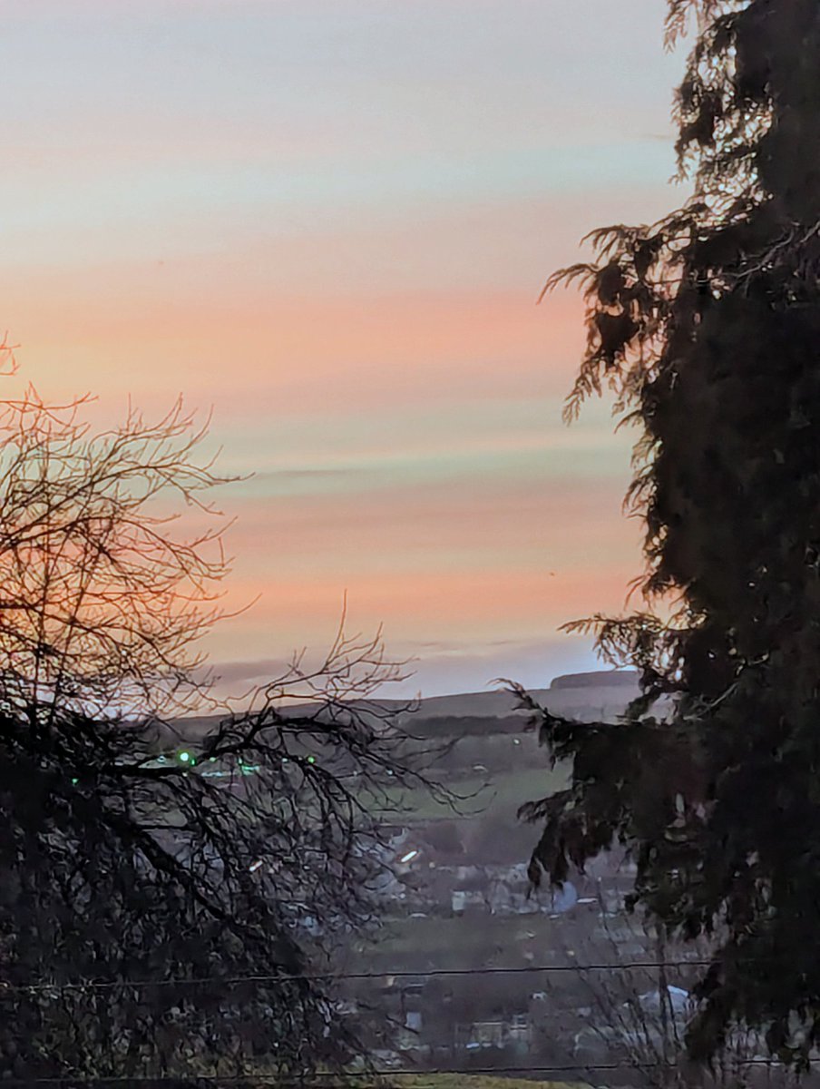 Princess Pinocchio 🇬🇧🏴 tweet media