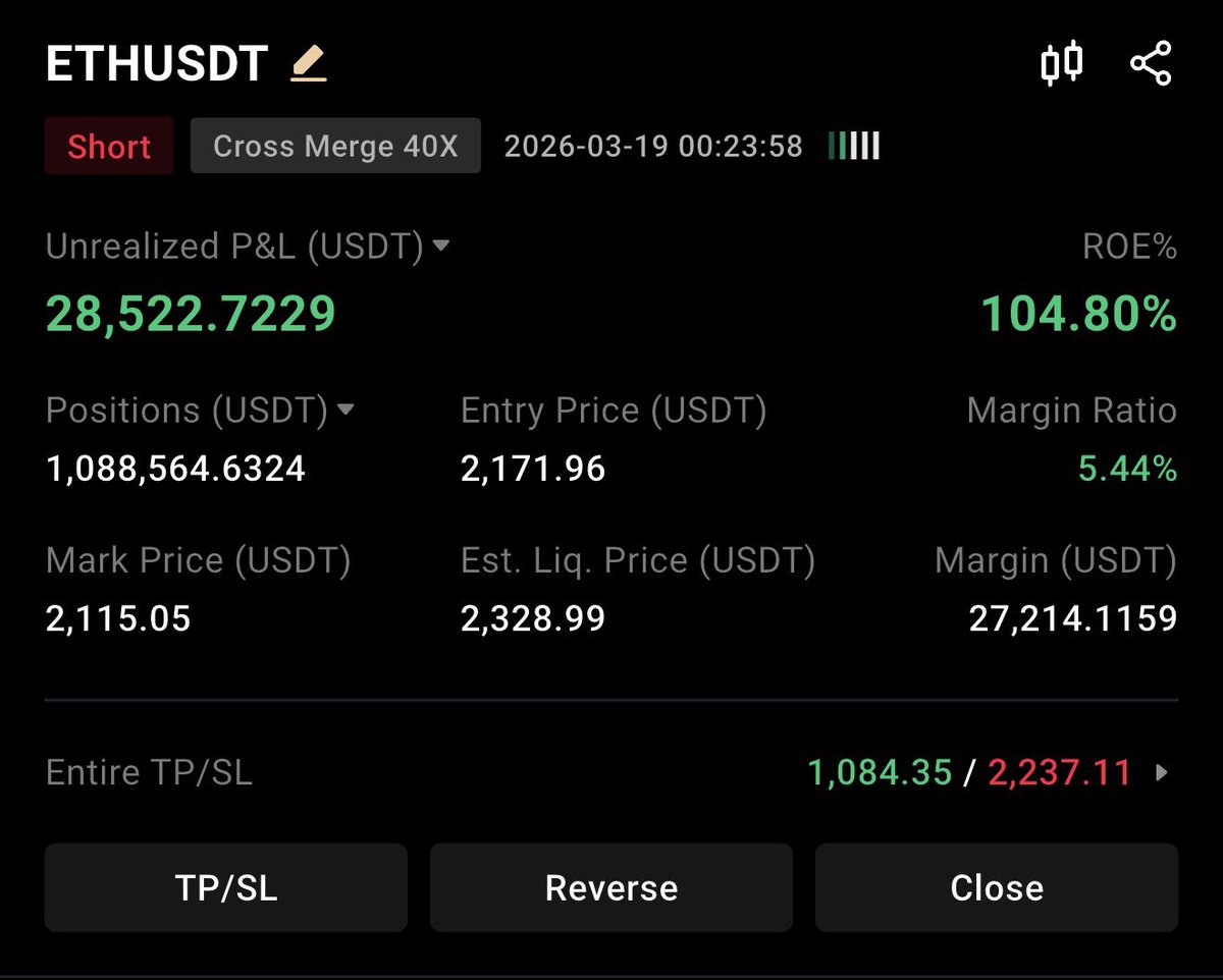 Owl Prints tweet media