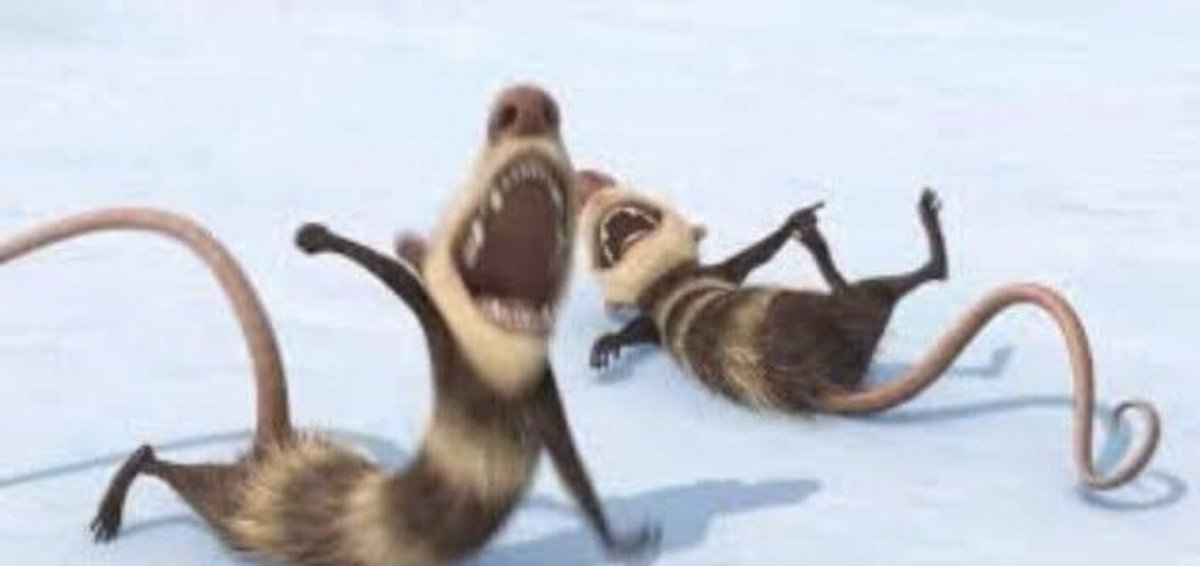 Chioma 🇺🇬 tweet media