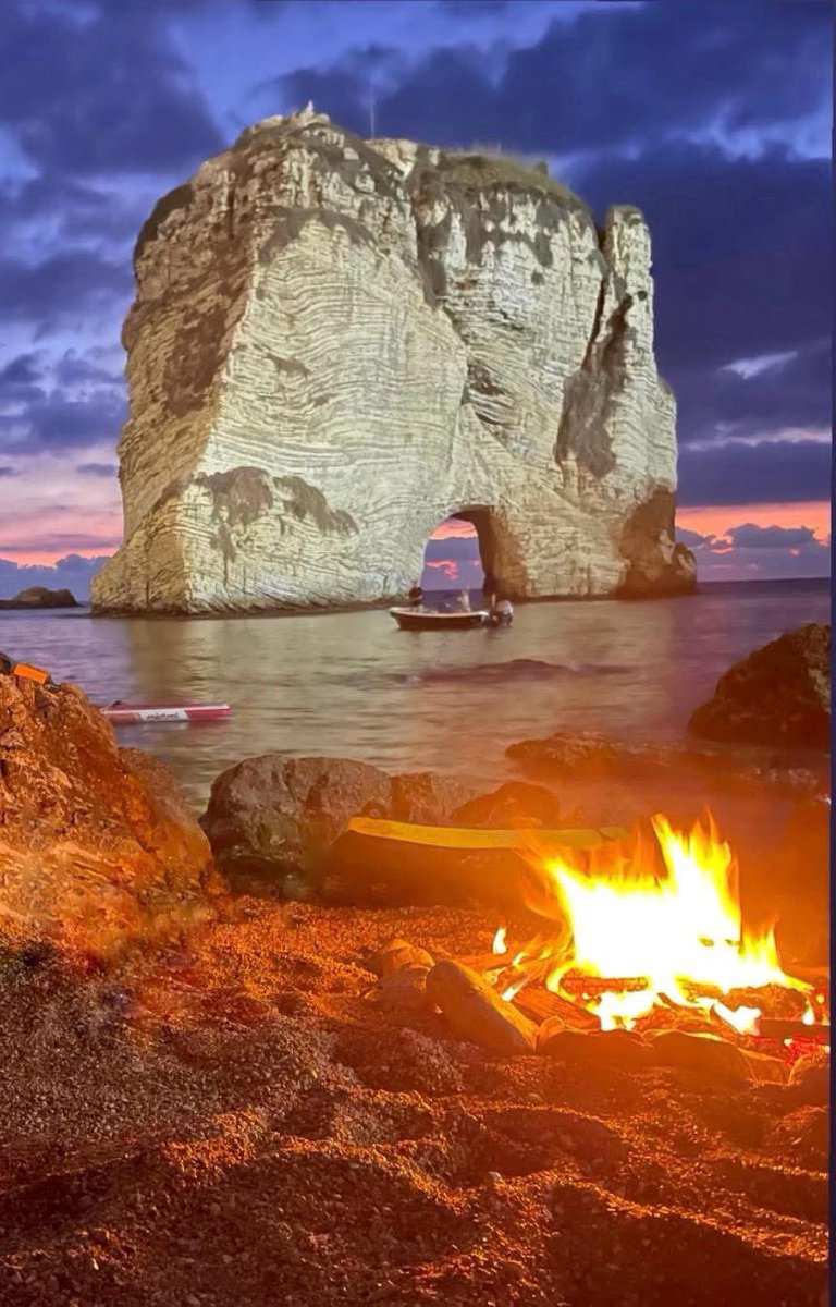 Alaa Arakji علاء عرقجي tweet media