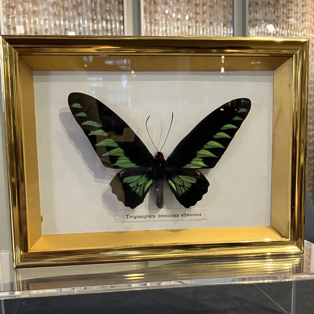 Jo Durrant tweet media