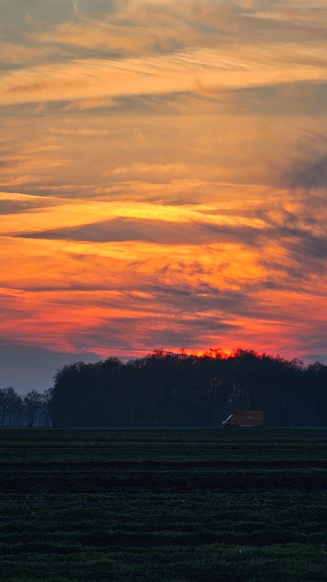 Lineya 🐾 tweet media