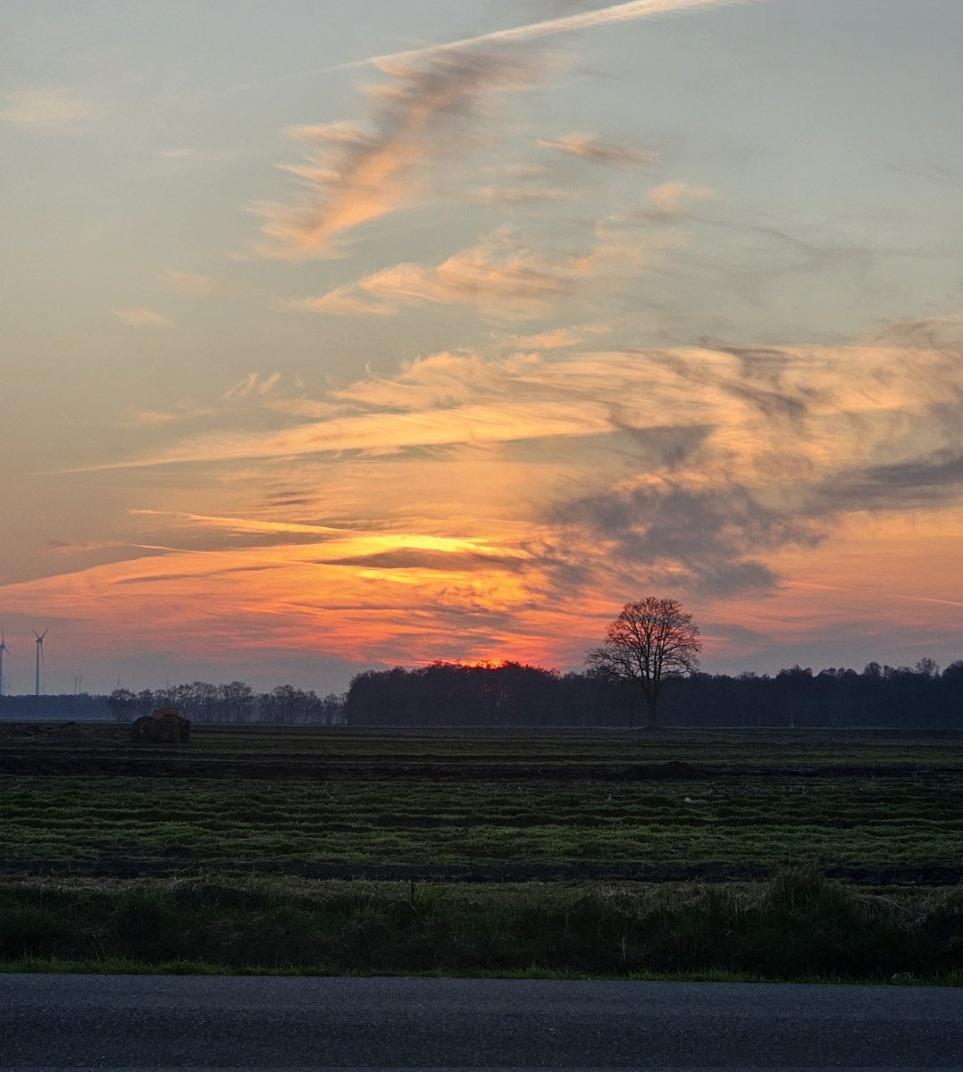 Lineya 🐾 tweet media