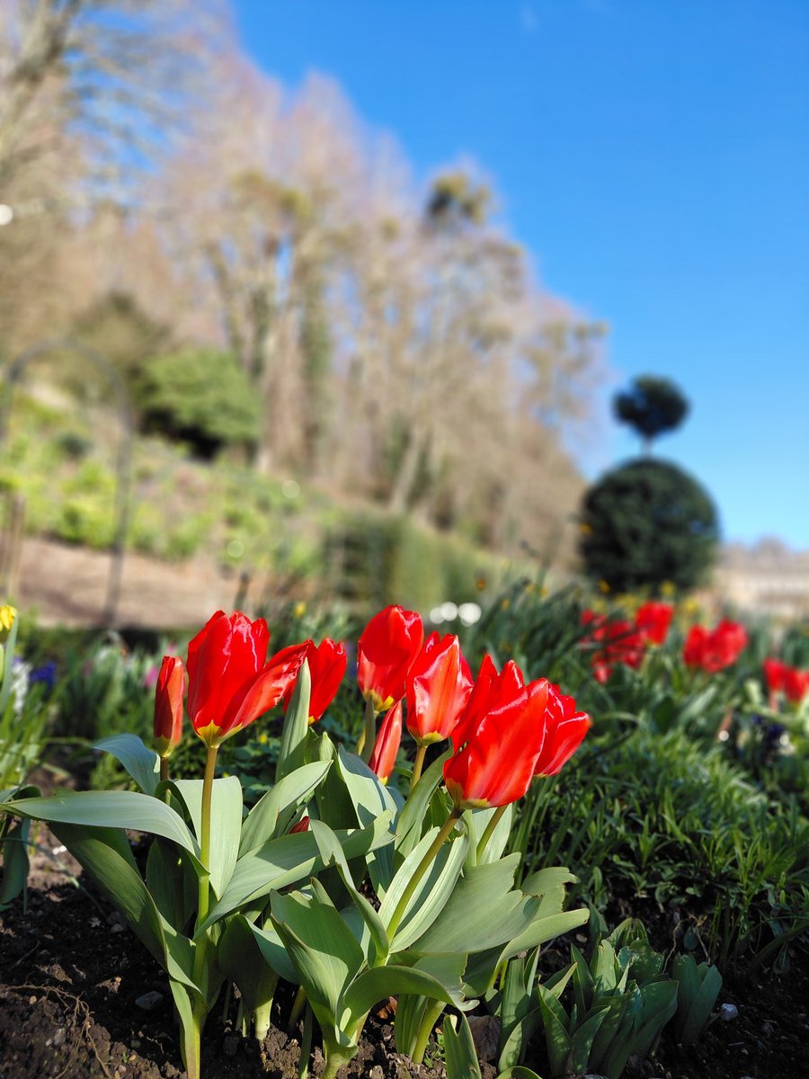 Dyrham Park tweet media