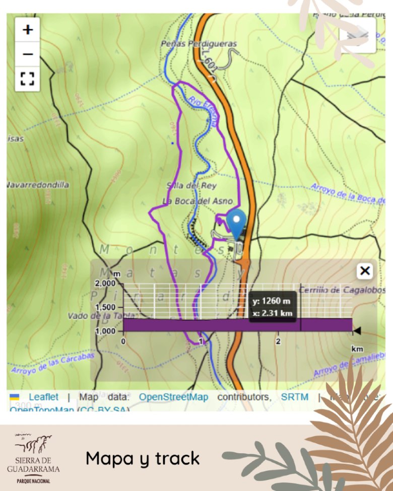 PN_Guadarrama's tweet photo. Itinerario rojo de Valsaín
Paseo circular por la ribera del #Eresma en el corazón del pinar de #Valsaín partiendo del área recreativa de #BocaDelAsno
👉 Info y track: https://t.co/AEINsA4axu
#rutas #divulgacion #parquenacional #nationalpark #sierradeguadarrama https://t.co/WZ92cfYHK3