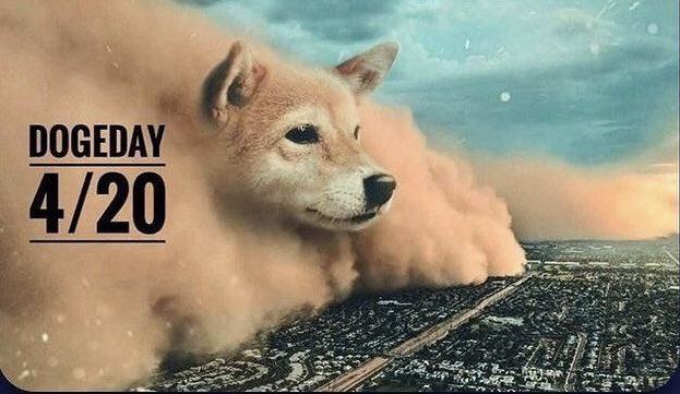 The Dutch Doge Guy 🐕 tweet media