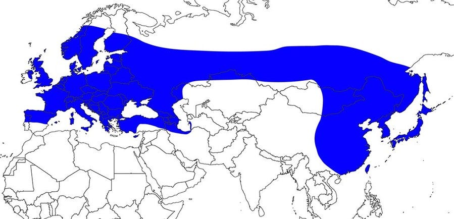 NS Stat-Mapper tweet media