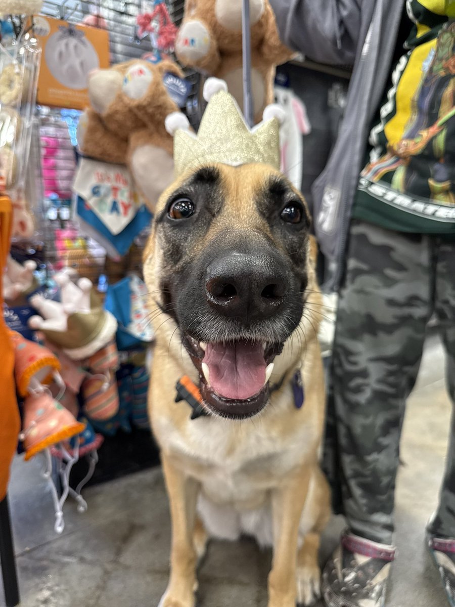 niniᑉ³ tweet media