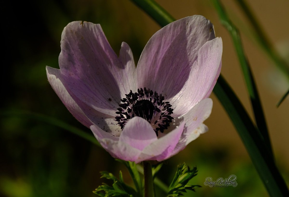 Sam WilsonLandscapes tweet media