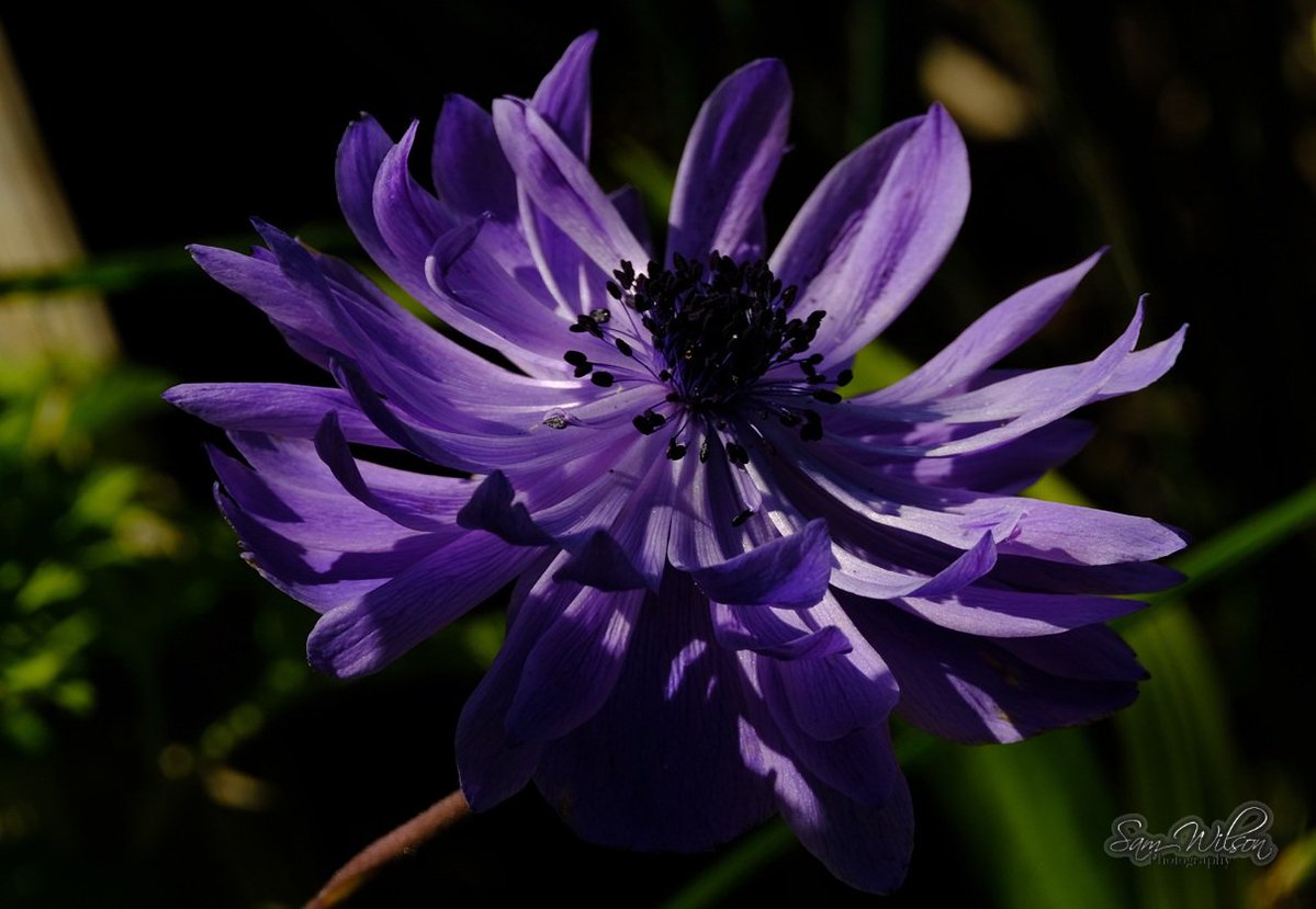 Sam WilsonLandscapes tweet media