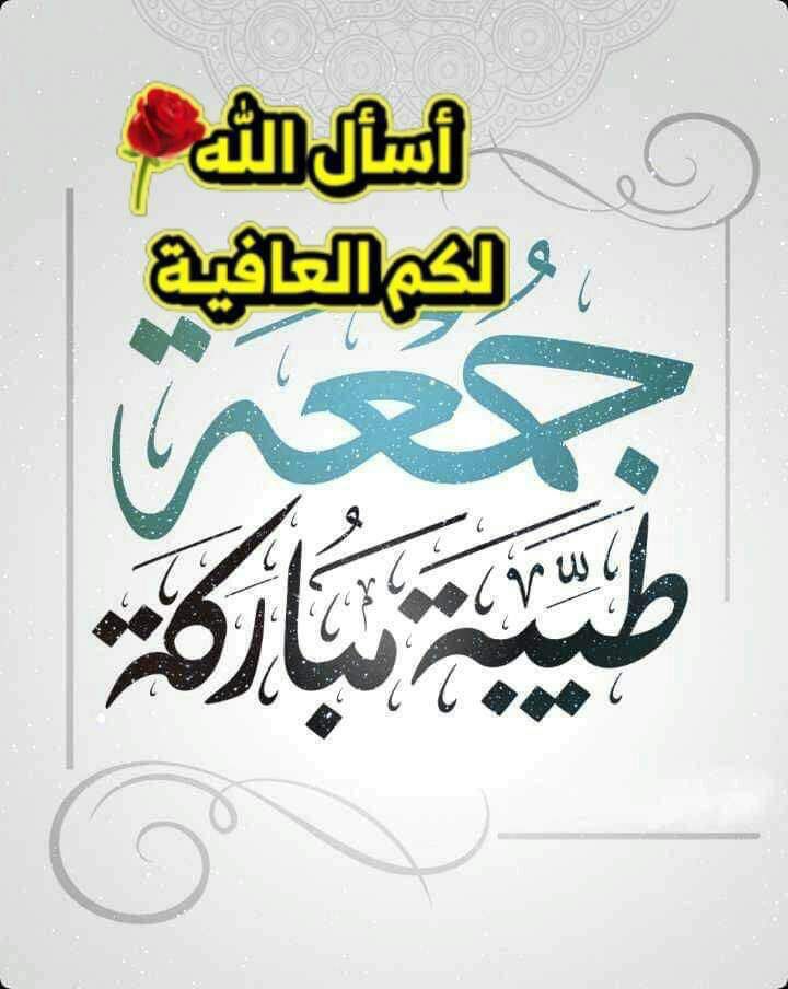 علي.العالي💎 tweet media