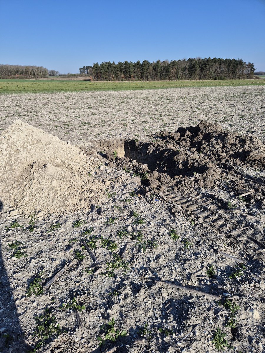 Olivierviticognac tweet media