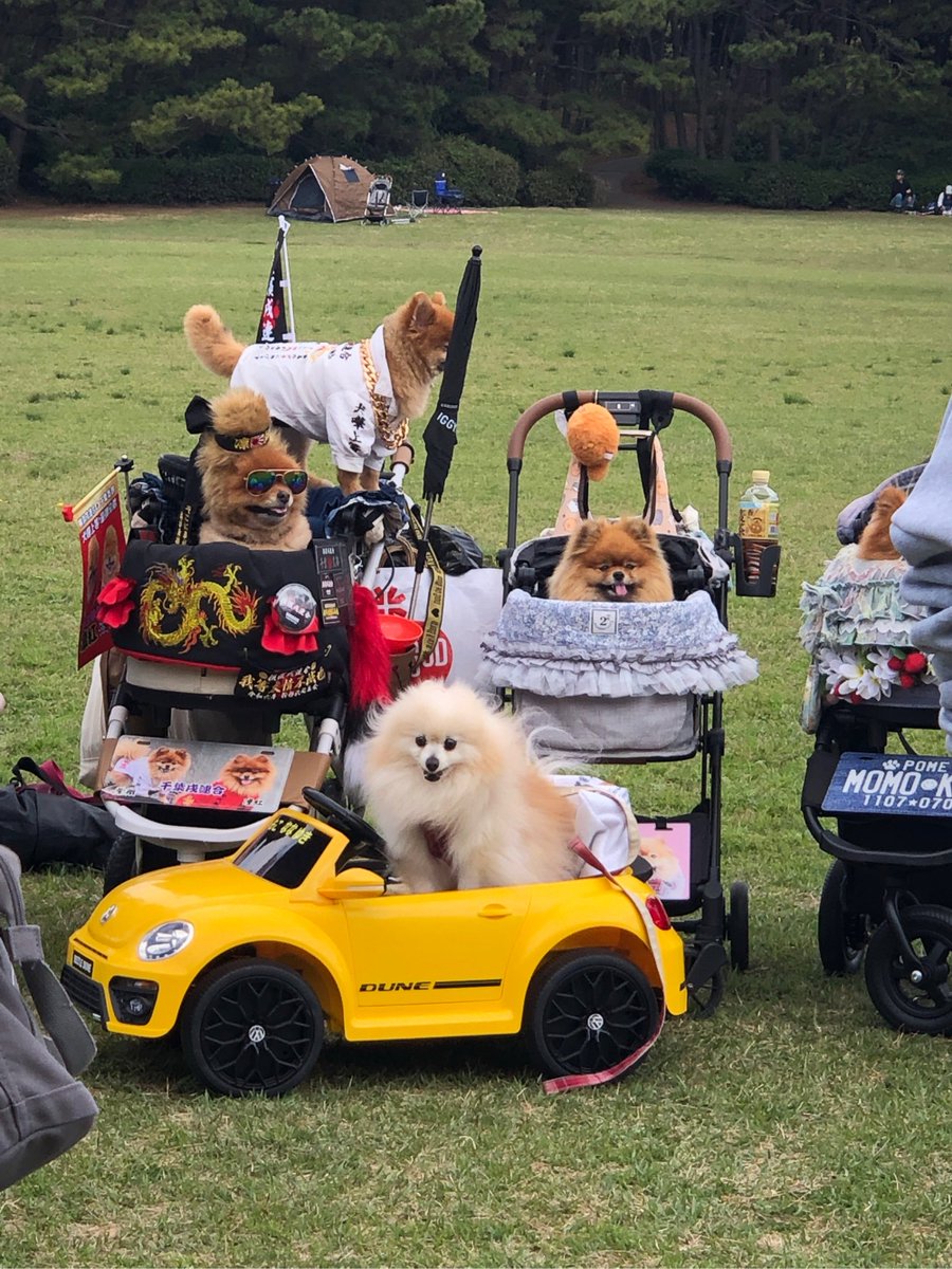 Ryan Smith tweet media