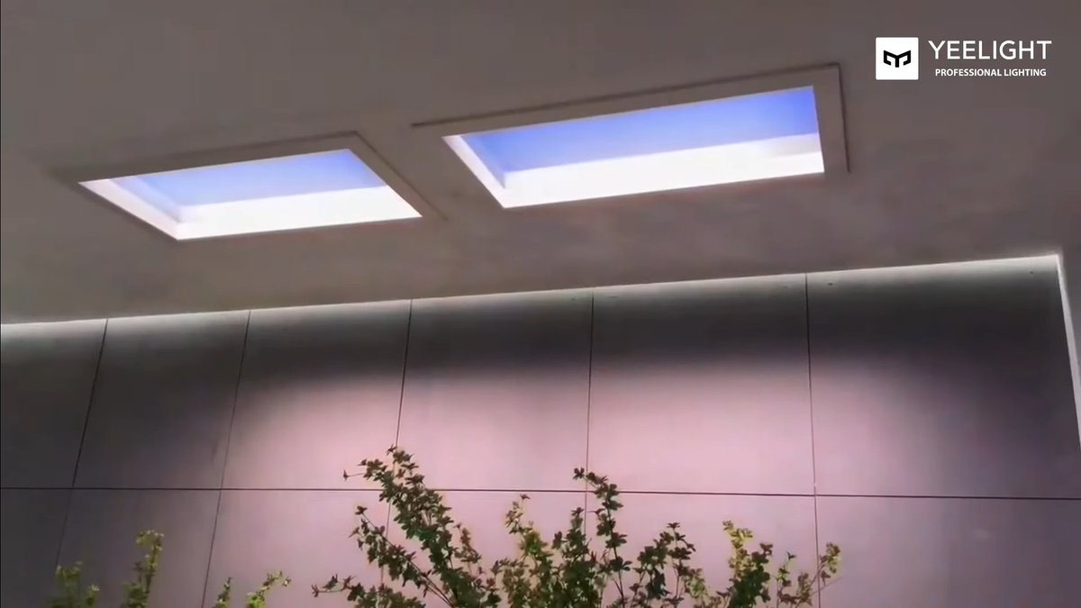 먀웅이 tweet media