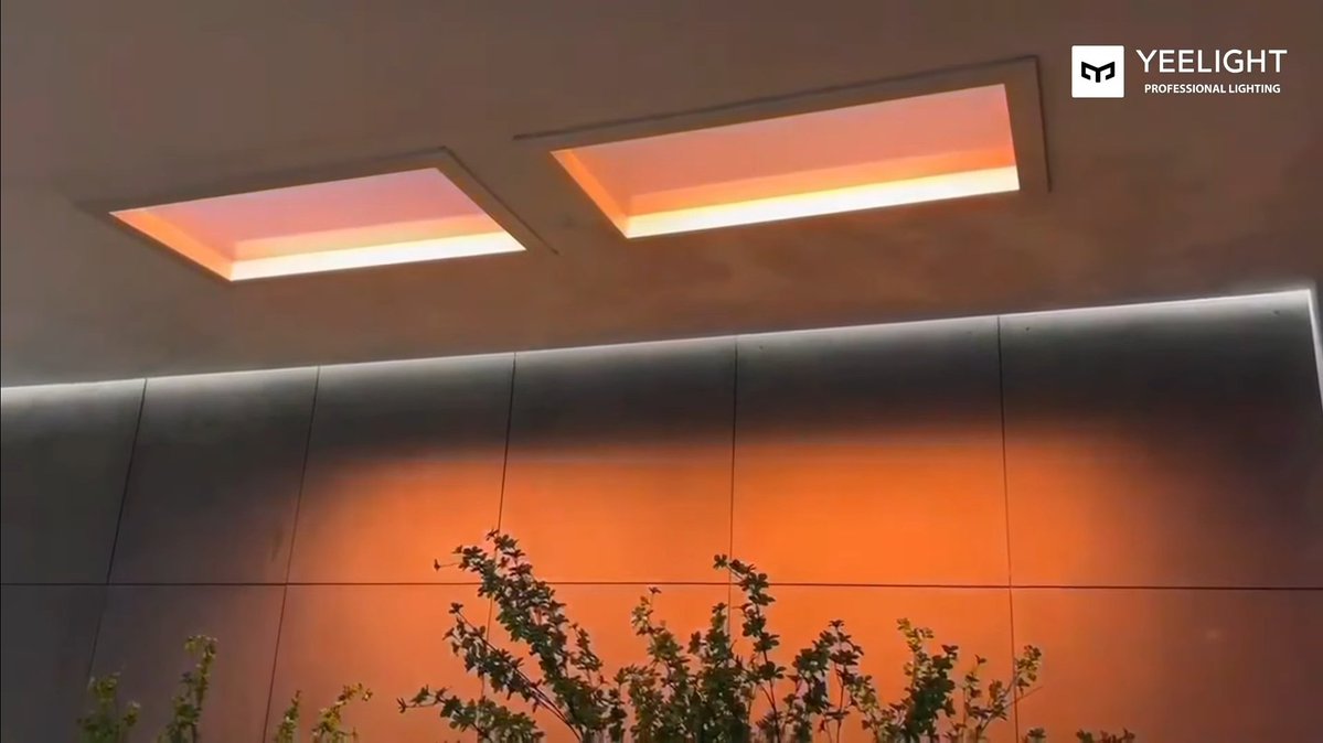 먀웅이 tweet media