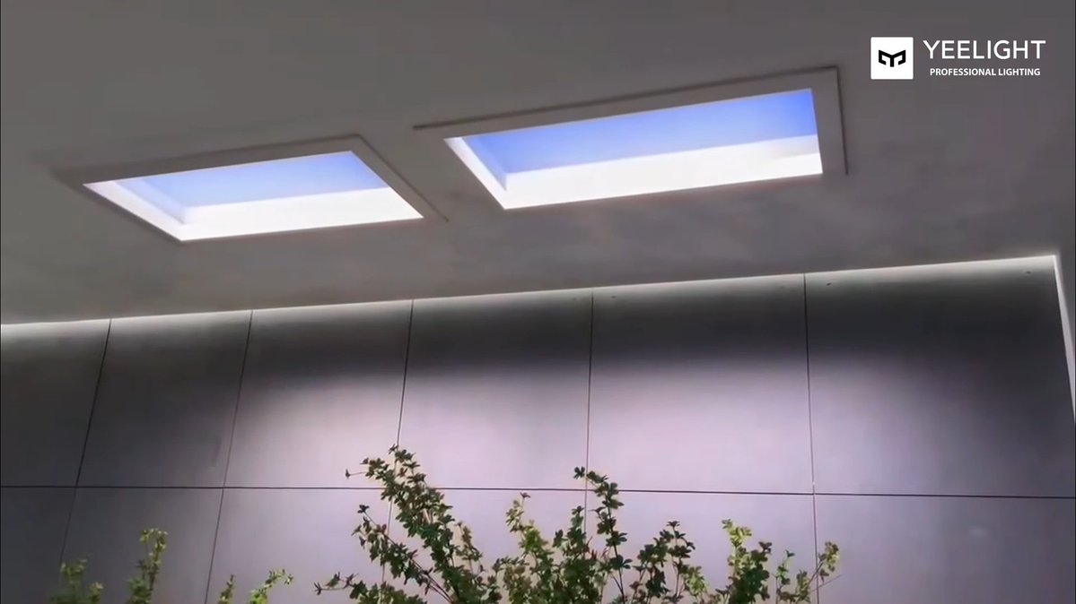 먀웅이 tweet media