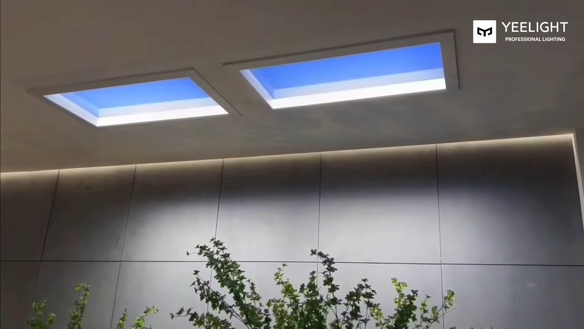 먀웅이 tweet media