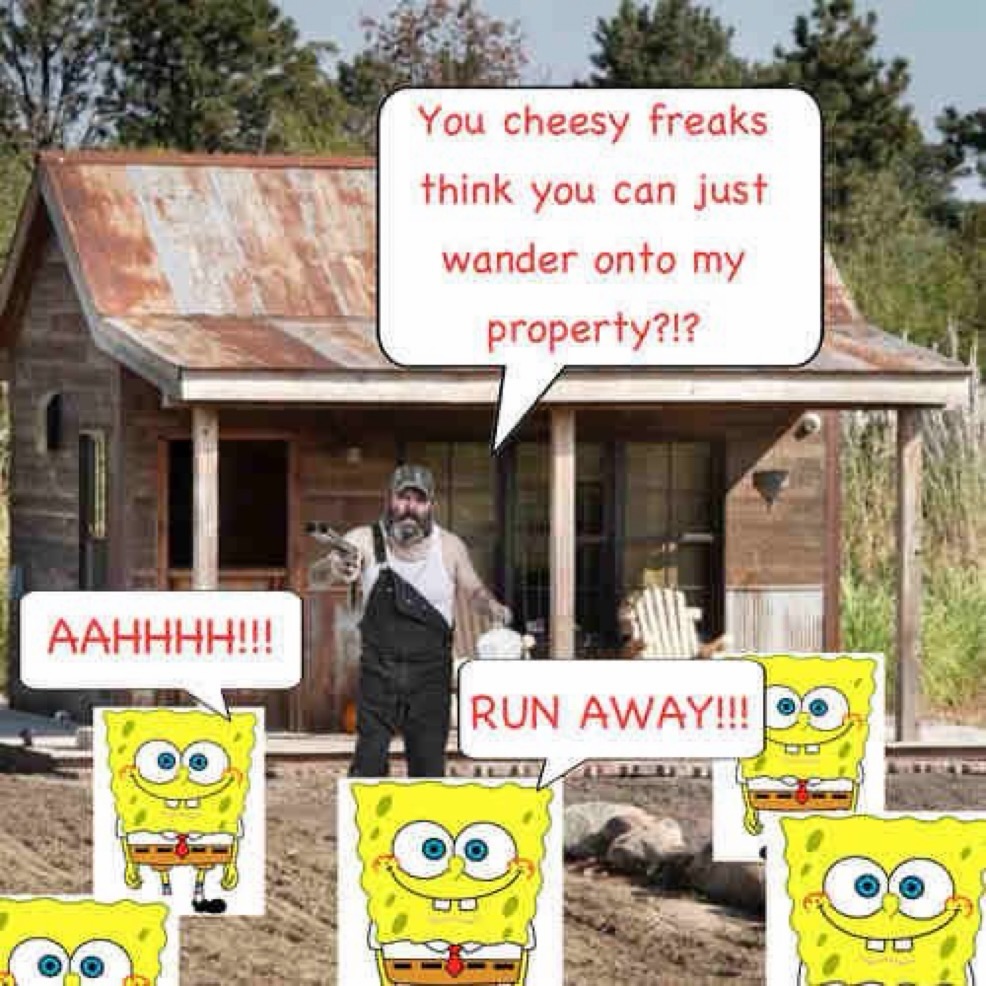 ja-hamon 🪓 tweet media