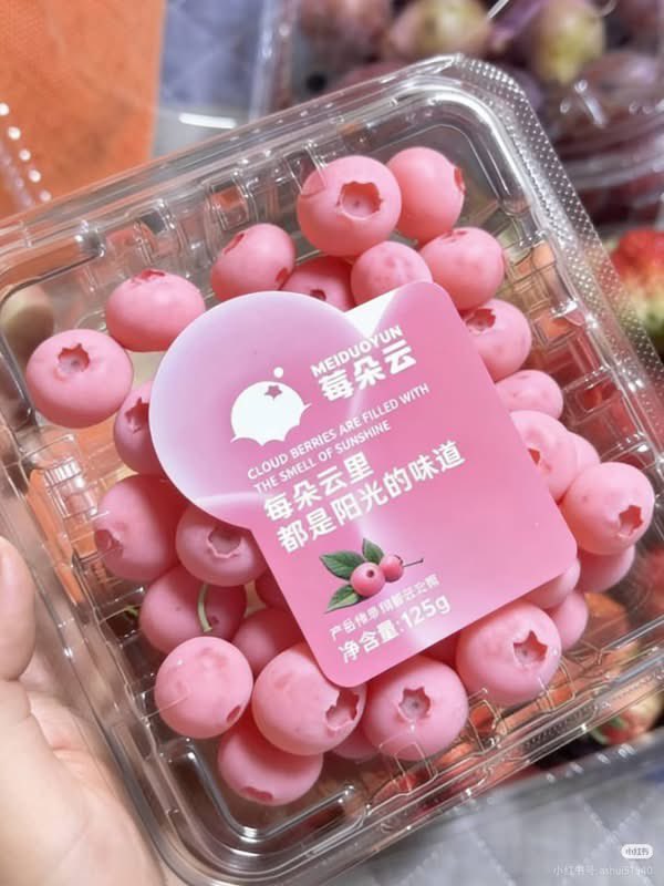 psykittx ִֶָ:!🪽་ tweet media