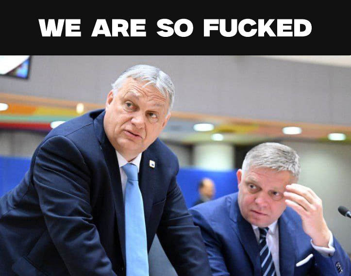 Slava 🇺🇦 tweet media