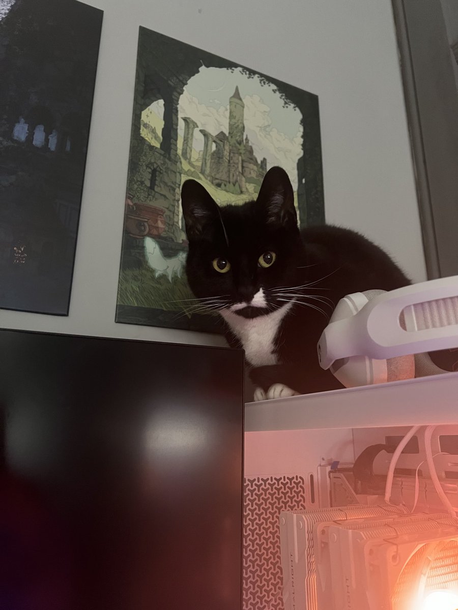 Honey || Content creator 🍉➡️ Dream Hack UK tweet media